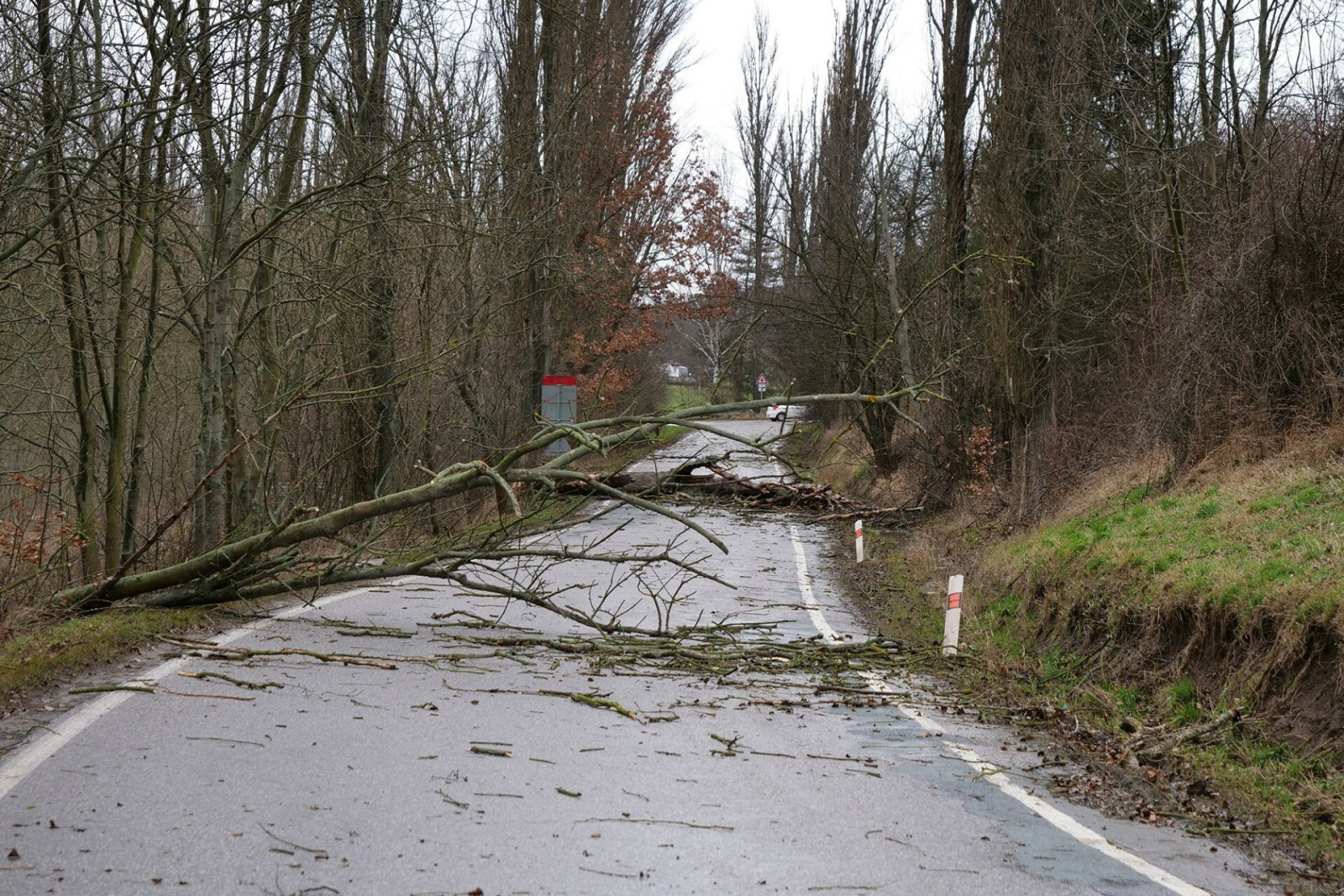 Neprůjezdná silnicei Dvůr-Zaloňov po pádu stromu